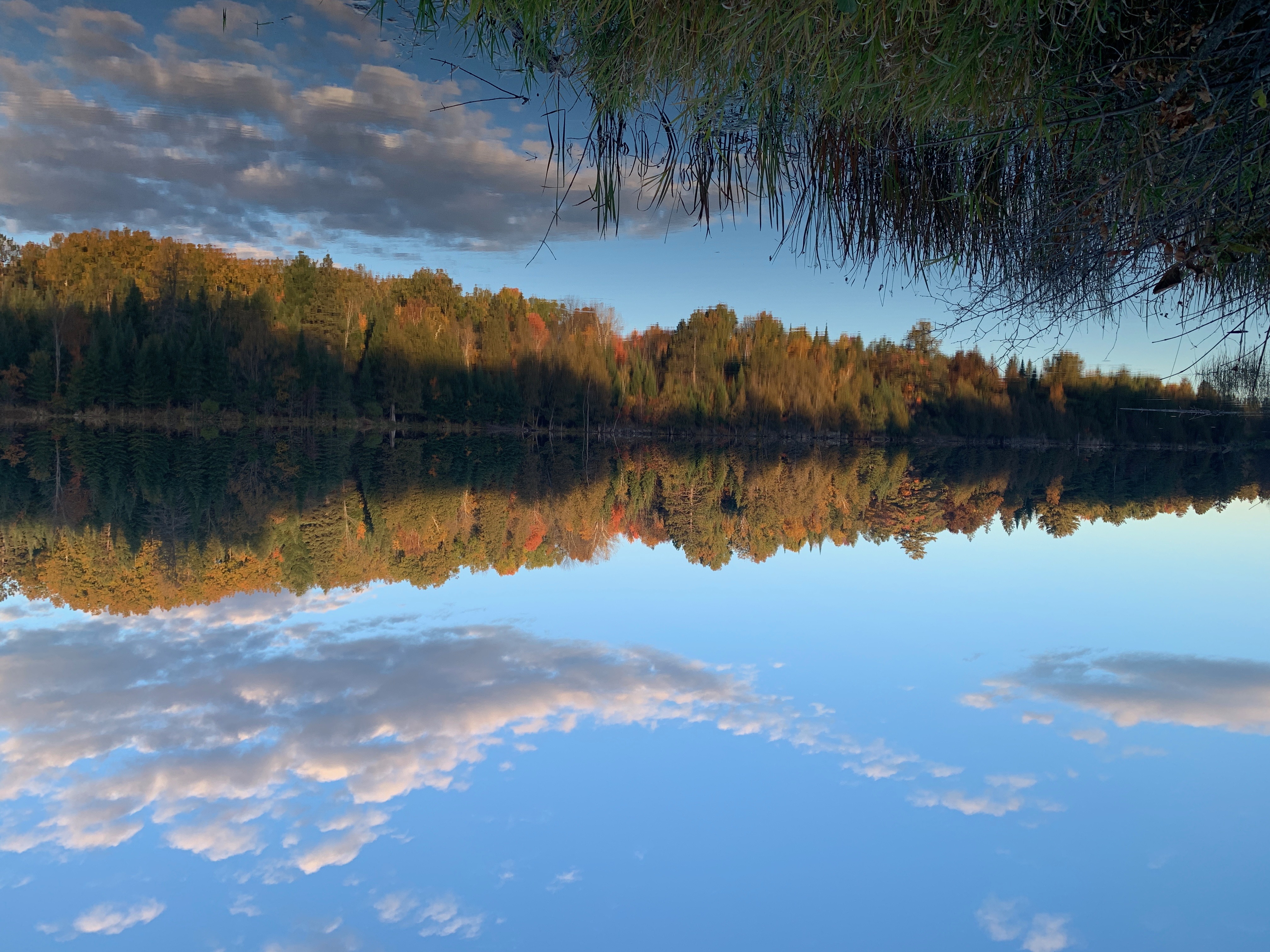 Killaloe waterfront — fall colours
