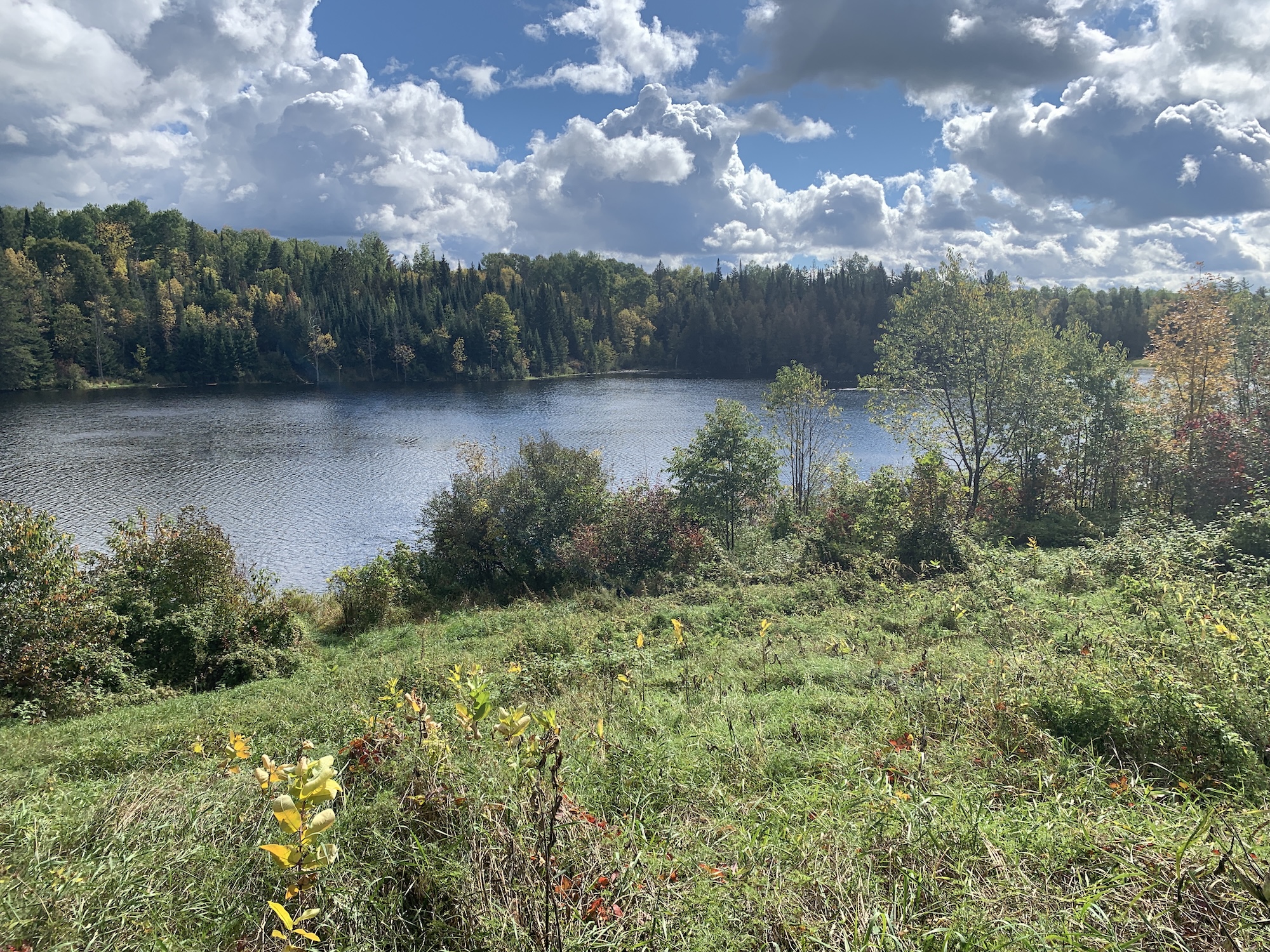 Killaloe waterfront — fall pond view