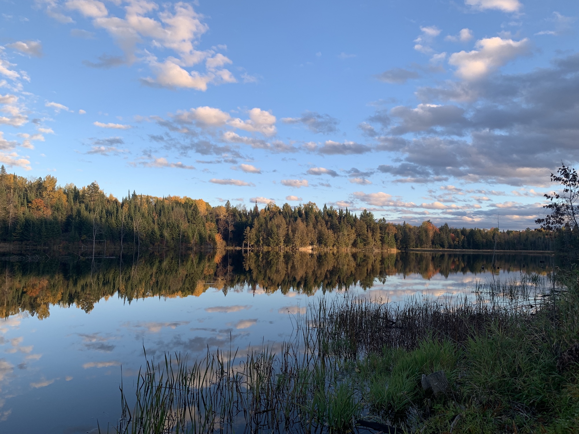 Killaloe waterfront — pond reflection